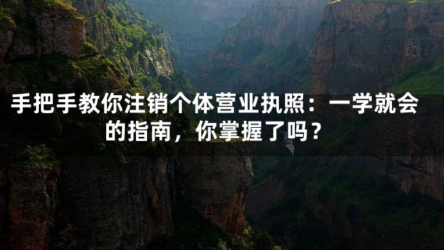 手把手教你注销个体营业执照：一学就会的指南，你掌握了吗？