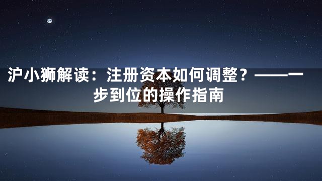 沪小狮解读：注册资本如何调整？——一步到位的操作指南