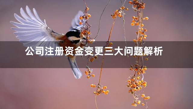公司注册资金变更三大问题解析