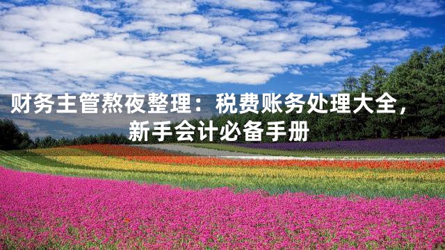 财务主管熬夜整理：税费账务处理大全，新手会计必备手册