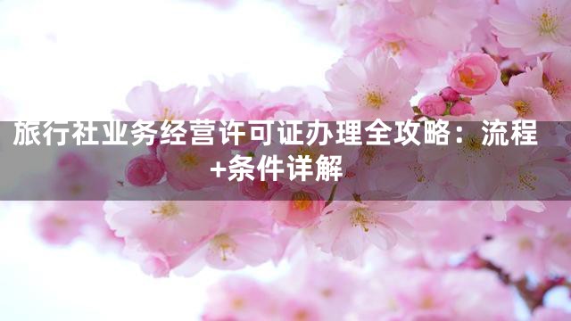 旅行社业务经营许可证办理全攻略：流程+条件详解