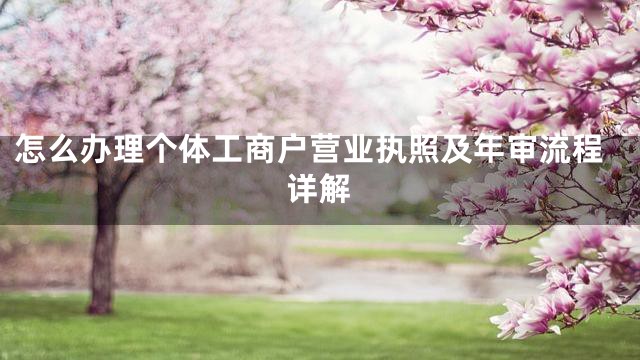 怎么办理个体工商户营业执照及年审流程详解
