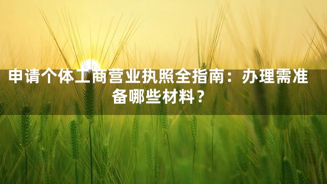 申请个体工商营业执照全指南：办理需准备哪些材料？