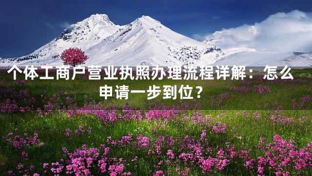 个体工商户营业执照办理流程详解：怎么申请一步到位？