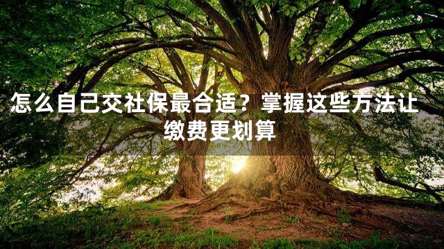 怎么自己交社保最合适？掌握这些方法让缴费更划算