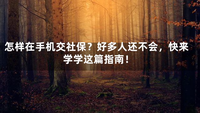 怎样在手机交社保？好多人还不会，快来学学这篇指南！