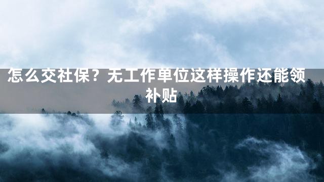 怎么交社保？无工作单位这样操作还能领补贴