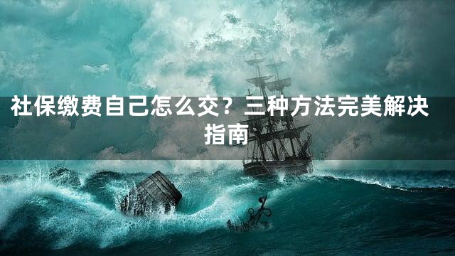 社保缴费自己怎么交？三种方法完美解决指南