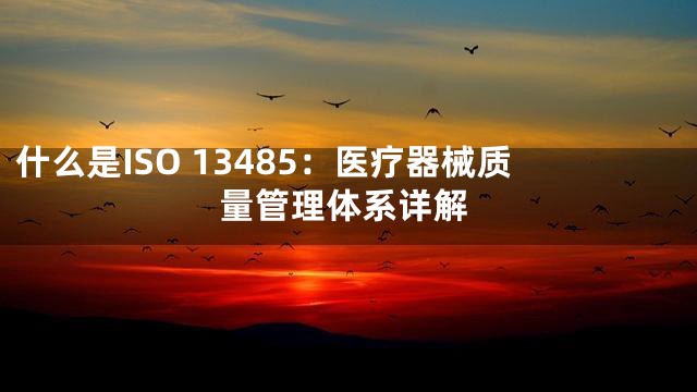 什么是ISO 13485：医疗器械质量管理体系详解