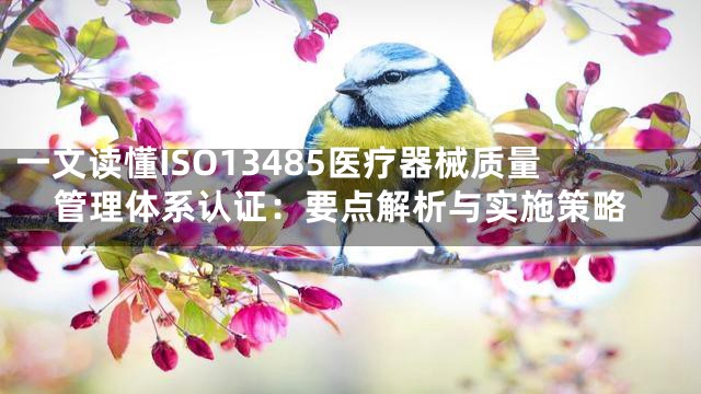 一文读懂ISO13485医疗器械质量管理体系认证：要点解析与实施策略