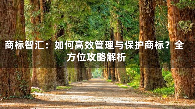 商标智汇：如何高效管理与保护商标？全方位攻略解析