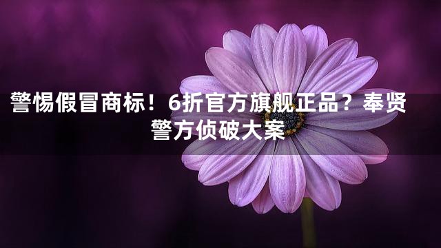 警惕假冒商标！6折官方旗舰正品？奉贤警方侦破大案