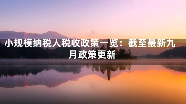 小规模纳税人税收政策一览：截至最新九月政策更新