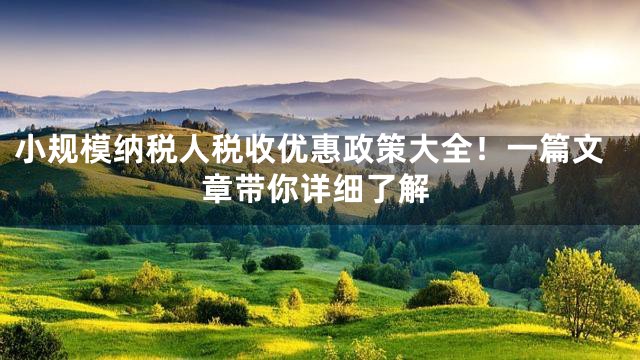 小规模纳税人税收优惠政策大全！一篇文章带你详细了解
