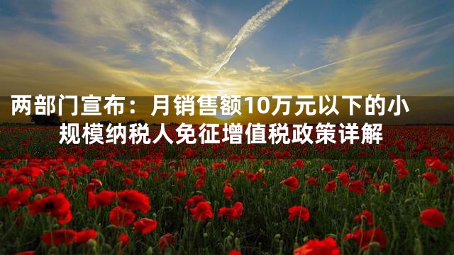 两部门宣布：月销售额10万元以下的小规模纳税人免征增值税政策详解