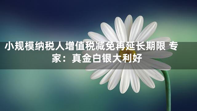 小规模纳税人增值税减免再延长期限 专家：真金白银大利好