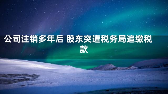 公司注销多年后 股东突遭税务局追缴税款