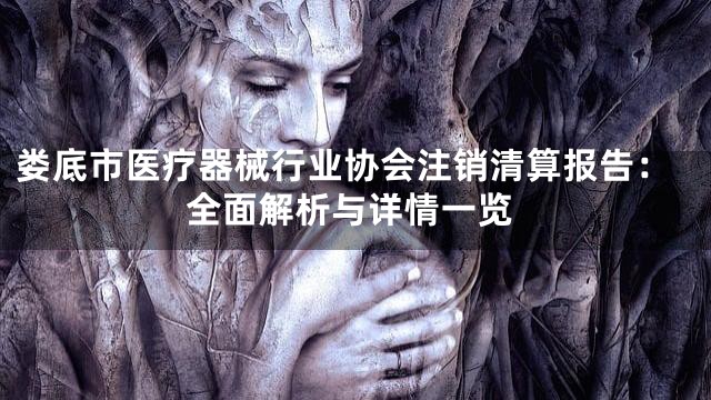 娄底市医疗器械行业协会注销清算报告：全面解析与详情一览
