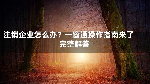 注销企业怎么办？一窗通操作指南来了 完整解答