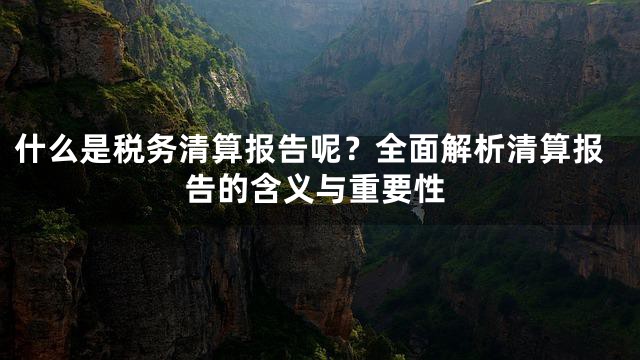 什么是税务清算报告呢？全面解析清算报告的含义与重要性