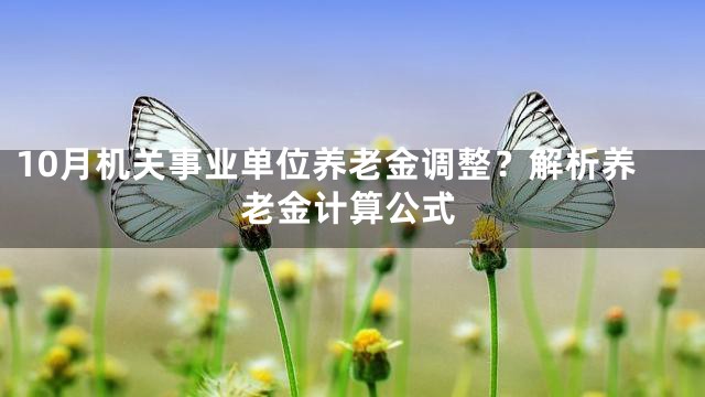 10月机关事业单位养老金调整？解析养老金计算公式