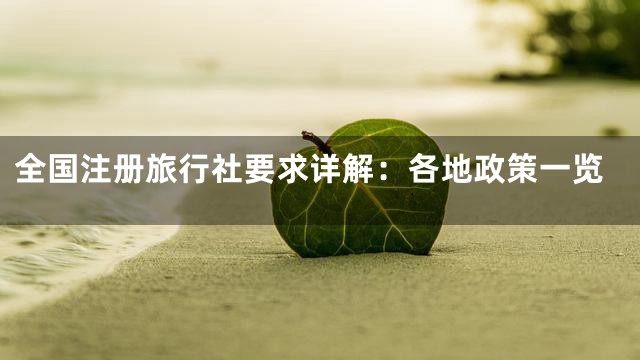 全国注册旅行社要求详解：各地政策一览