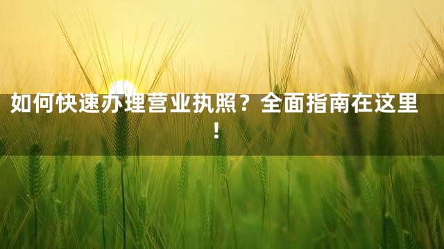 如何快速办理营业执照？全面指南在这里！