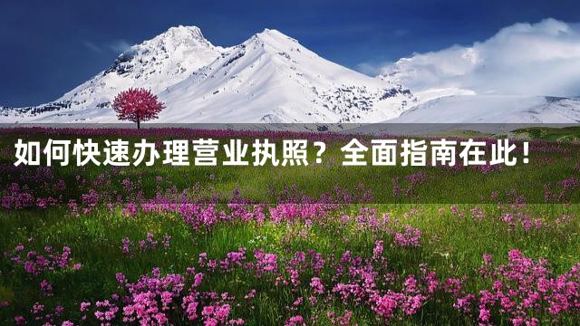 如何快速办理营业执照？全面指南在此！