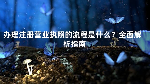 办理注册营业执照的流程是什么？全面解析指南