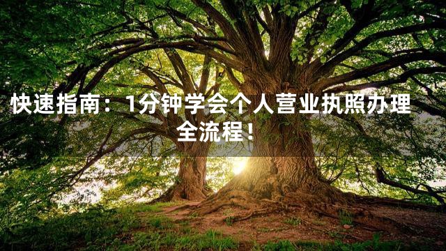 快速指南：1分钟学会个人营业执照办理全流程！