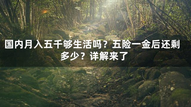 国内月入五千够生活吗？五险一金后还剩多少？详解来了