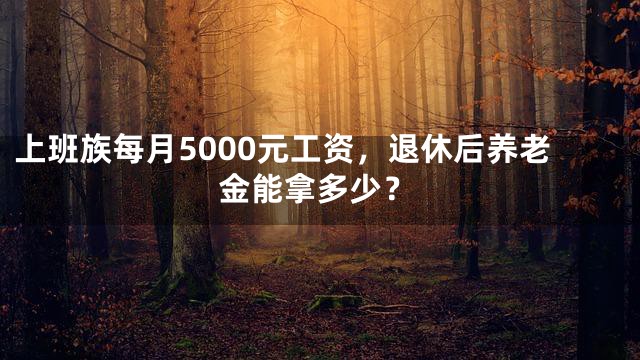 上班族每月5000元工资，退休后养老金能拿多少？