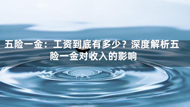 五险一金：工资到底有多少？深度解析五险一金对收入的影响