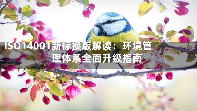 ISO14001新标换版解读：环境管理体系全面升级指南