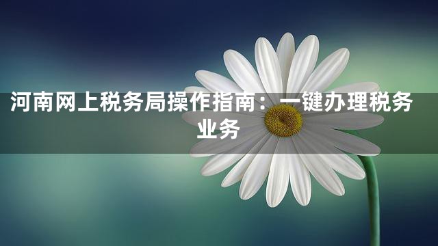 河南网上税务局操作指南：一键办理税务业务