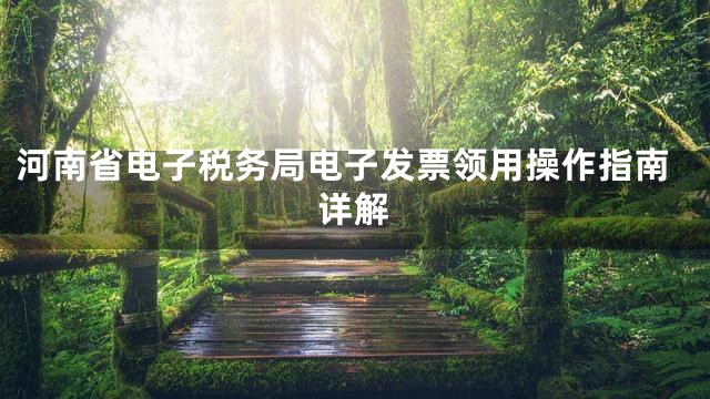 河南省电子税务局电子发票领用操作指南详解