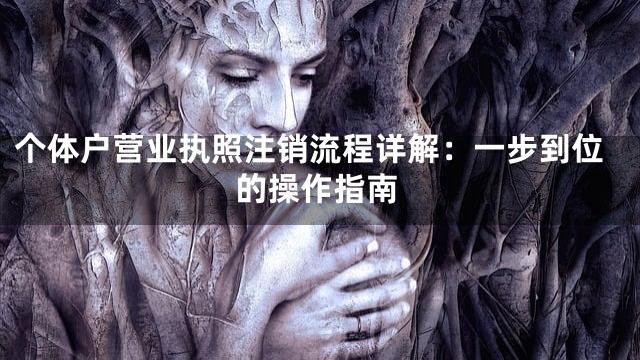 个体户营业执照注销流程详解：一步到位的操作指南