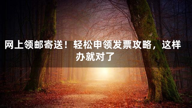 网上领邮寄送！轻松申领发票攻略，这样办就对了