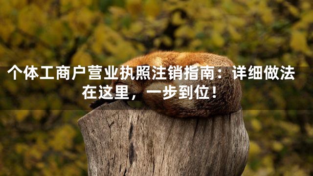 个体工商户营业执照注销指南：详细做法在这里，一步到位！