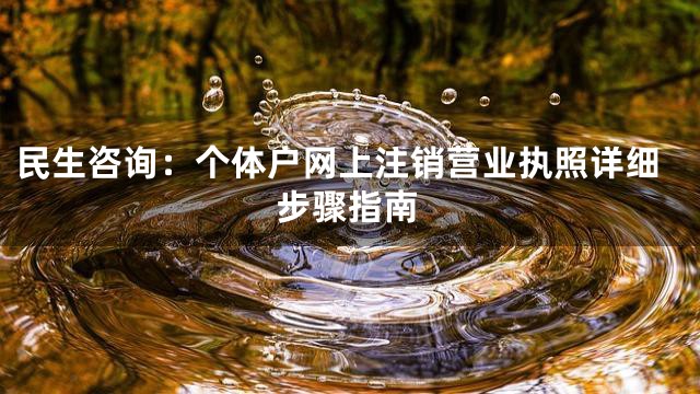 民生咨询：个体户网上注销营业执照详细步骤指南