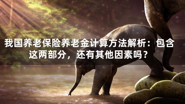我国养老保险养老金计算方法解析：包含这两部分，还有其他因素吗？