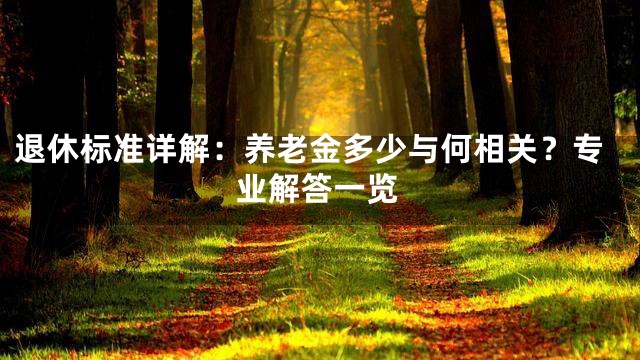 退休标准详解：养老金多少与何相关？专业解答一览