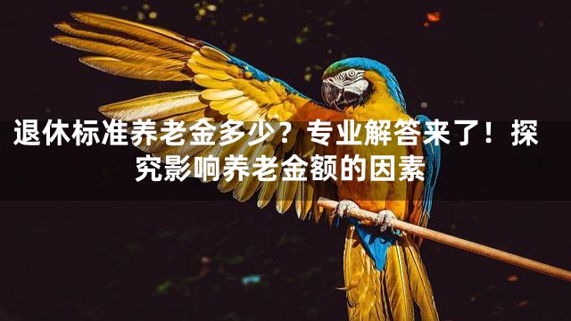 退休标准养老金多少？专业解答来了！探究影响养老金额的因素
