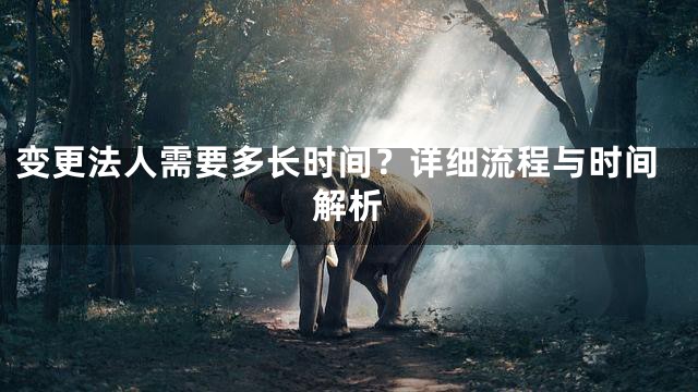 变更法人需要多长时间？详细流程与时间解析