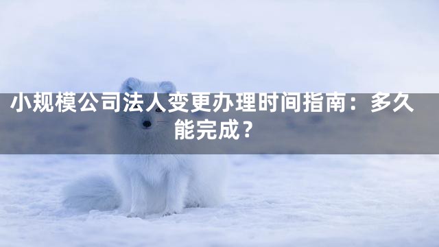 小规模公司法人变更办理时间指南：多久能完成？