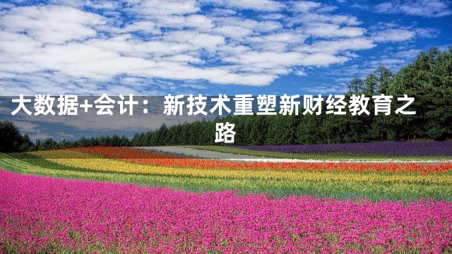 大数据+会计：新技术重塑新财经教育之路