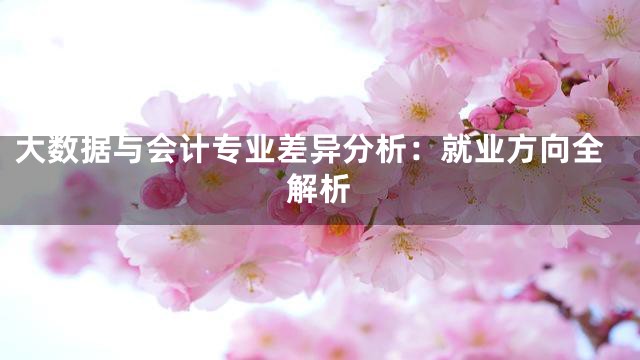 大数据与会计专业差异分析：就业方向全解析