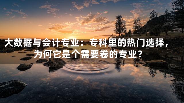 大数据与会计专业：专科里的热门选择，为何它是个需要卷的专业？