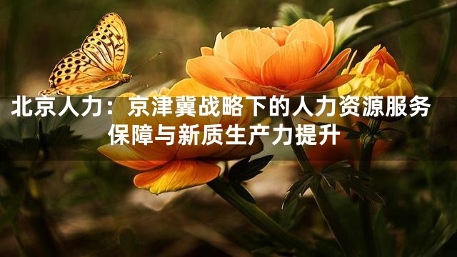 北京人力：京津冀战略下的人力资源服务保障与新质生产力提升