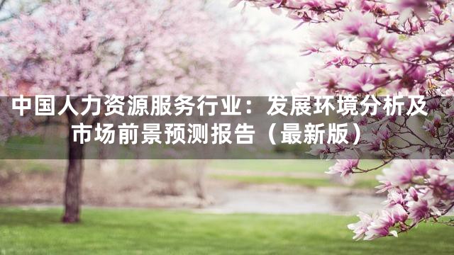 中国人力资源服务行业：发展环境分析及市场前景预测报告（最新版）